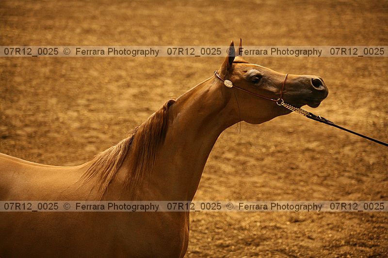 Proof 07r12_0025