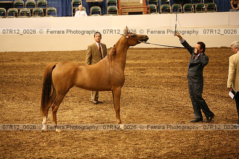 Proof 07r12_0026