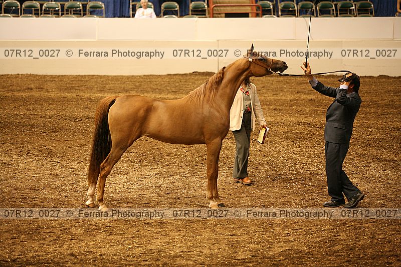 Proof 07r12_0027
