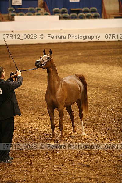 Proof 07r12_0028