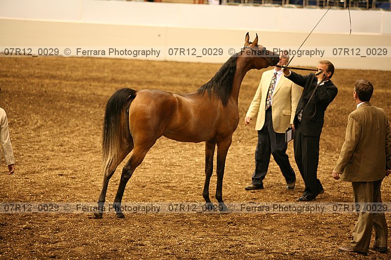Proof 07r12_0029