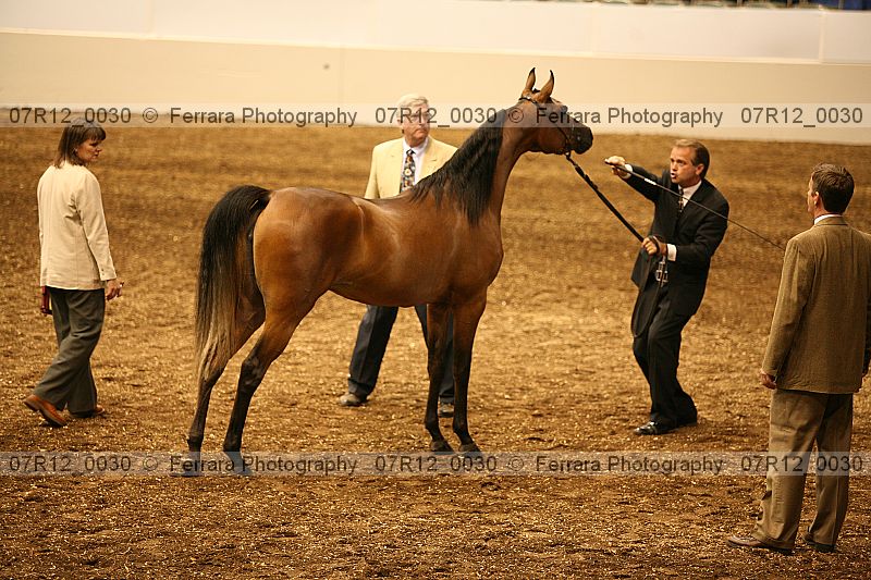 Proof 07r12_0030