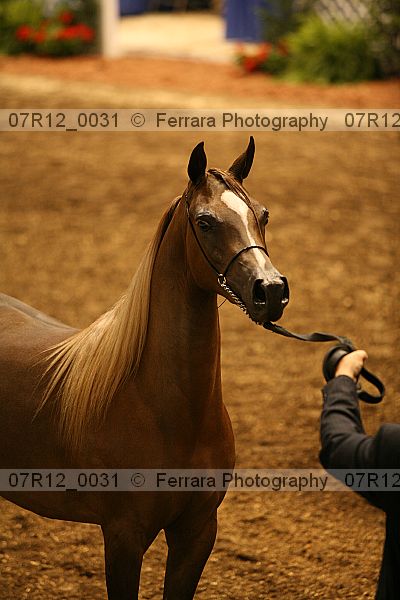 Proof 07r12_0031