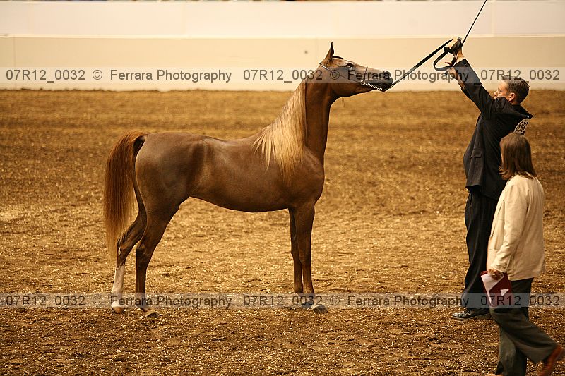 Proof 07r12_0032