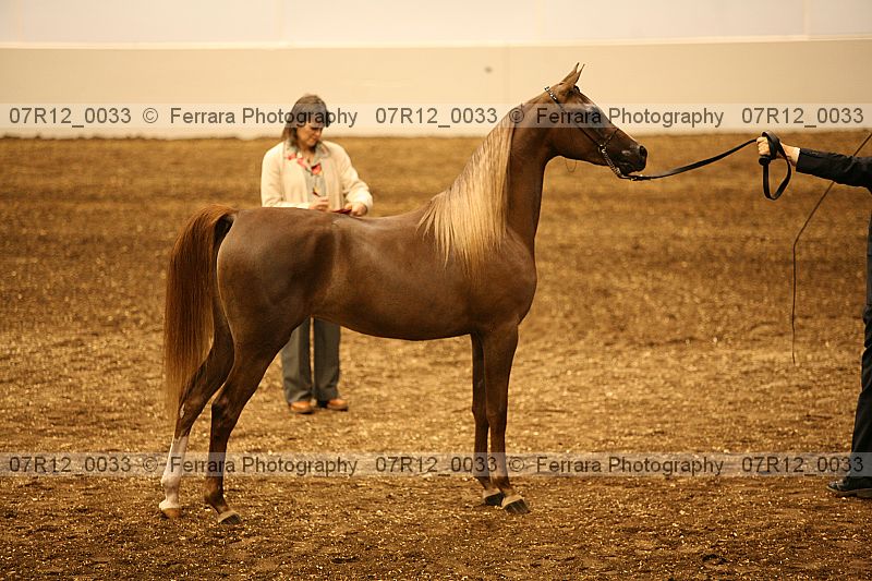 Proof 07r12_0033