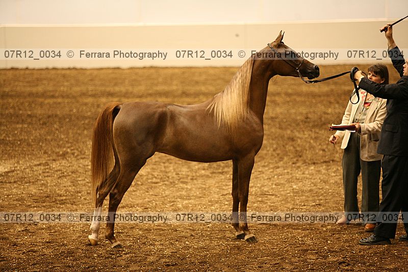 Proof 07r12_0034