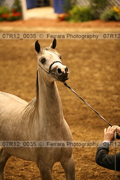 Proof 07r12_0035