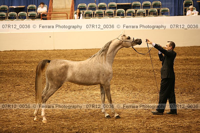 Proof 07r12_0036