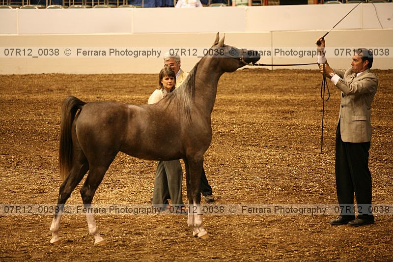 Proof 07r12_0038