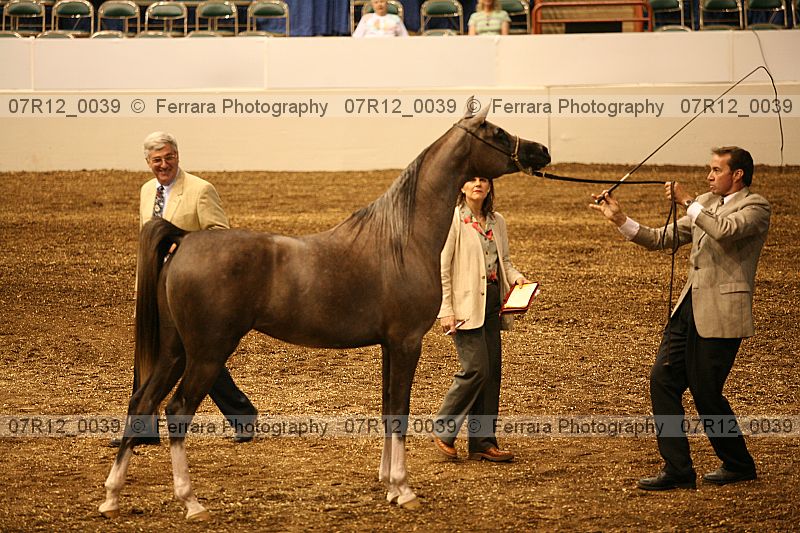 Proof 07r12_0039