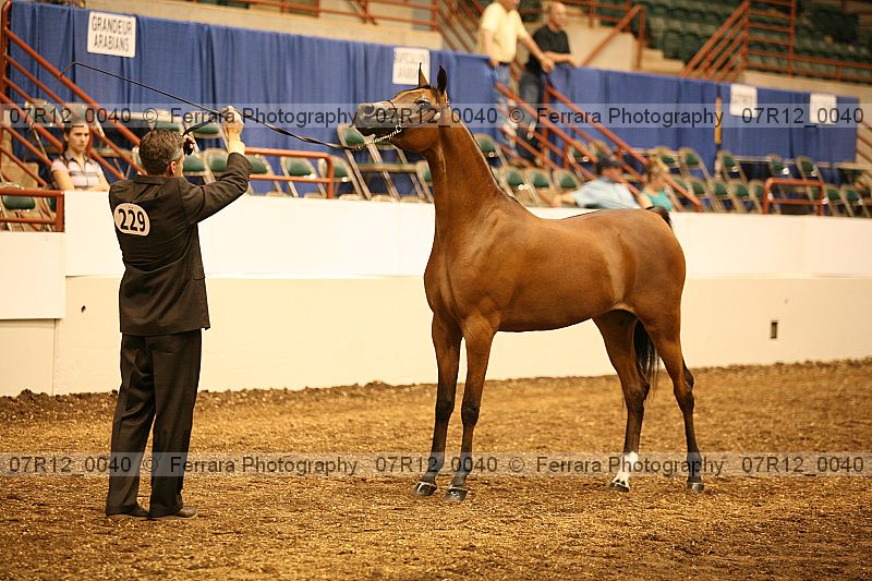 Proof 07r12_0040