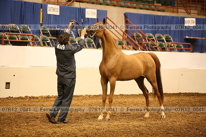 Proof 07r12_0041