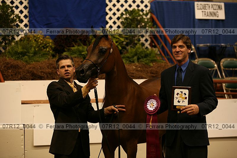 Proof 07r12_0044
