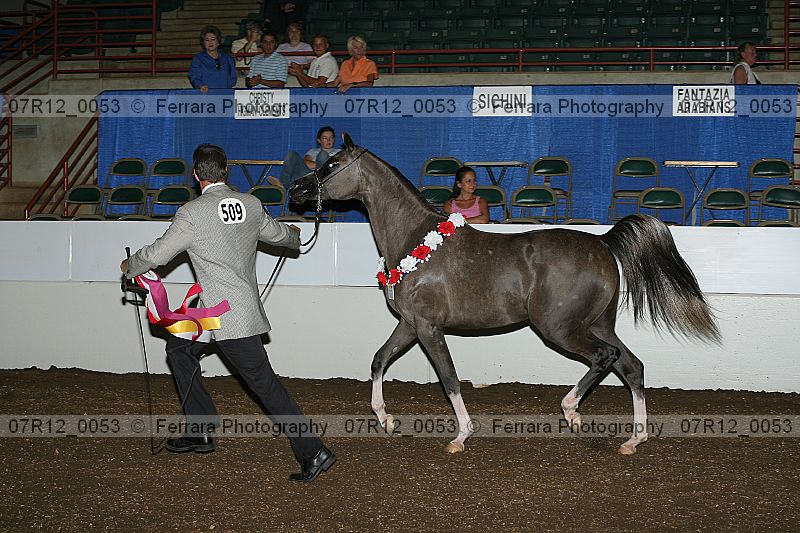 Proof 07r12_0053