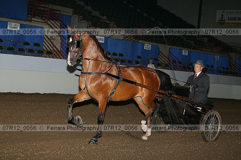 Proof 07r12_0056