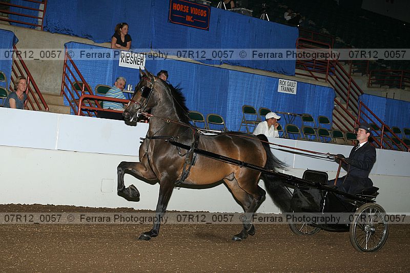Proof 07r12_0057