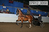 07r12_0058 proof