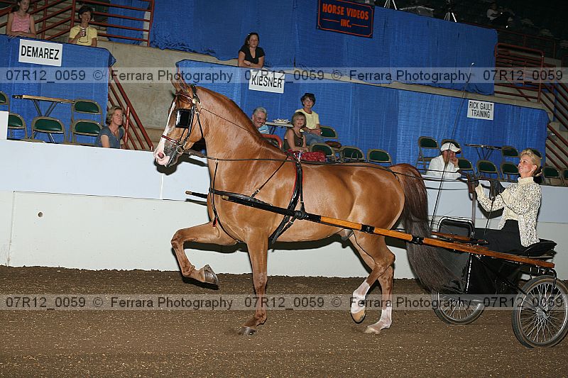 Proof 07r12_0059