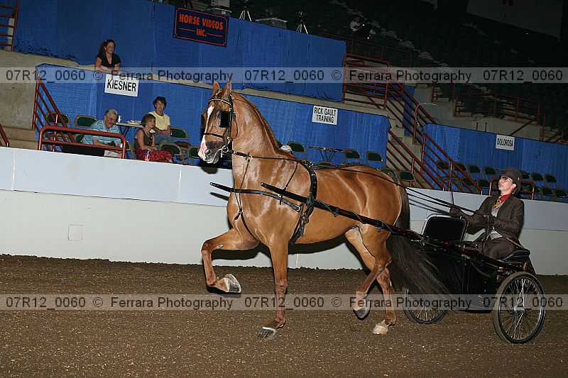 Proof 07r12_0060