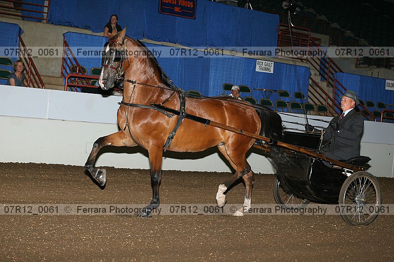 Proof 07r12_0061