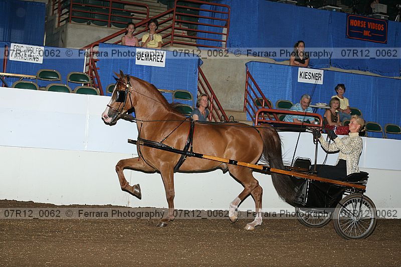 Proof 07r12_0062
