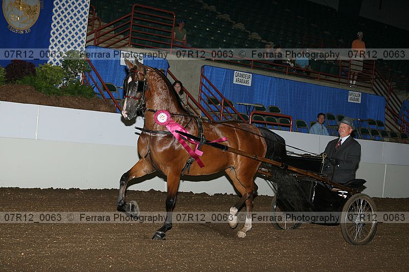 Proof 07r12_0063