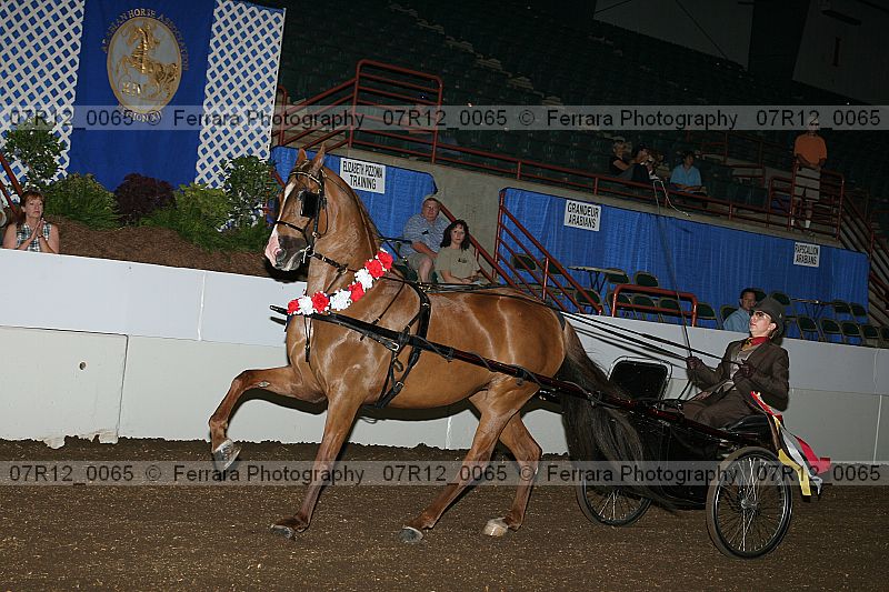 Proof 07r12_0065