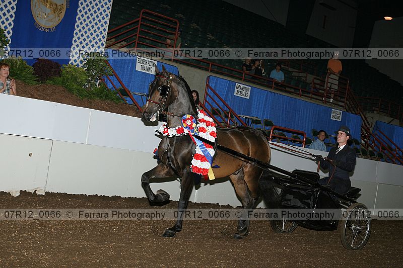 Proof 07r12_0066