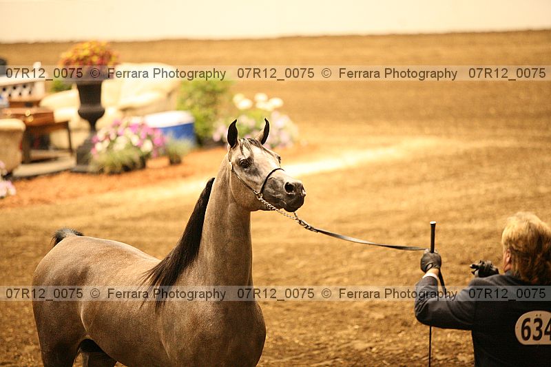 Proof 07r12_0075