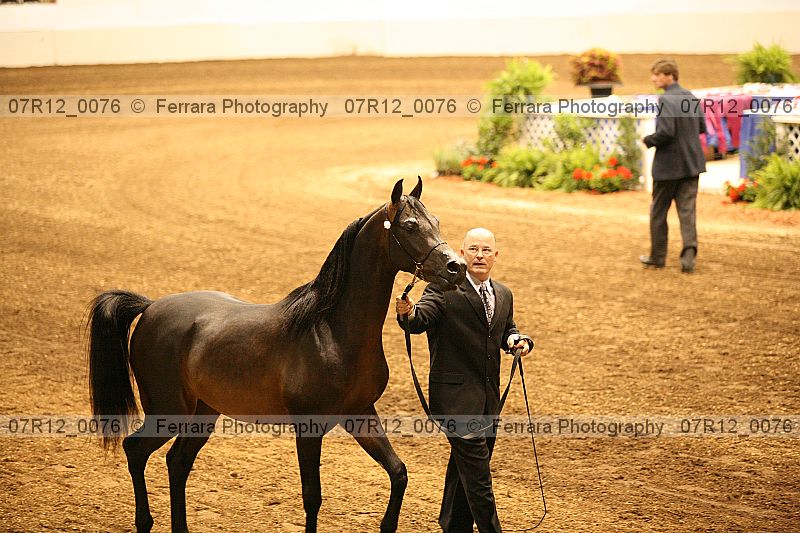 Proof 07r12_0076