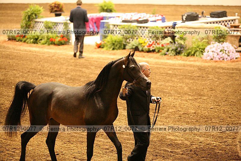 Proof 07r12_0077