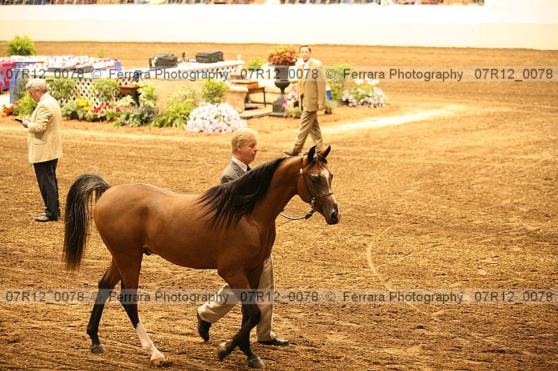 Proof 07r12_0078