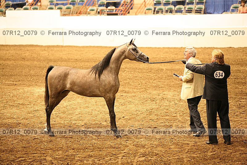 Proof 07r12_0079