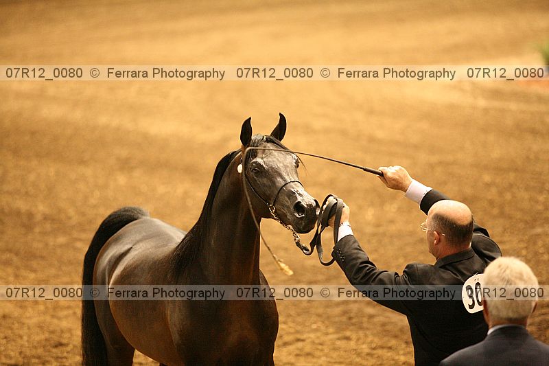 Proof 07r12_0080