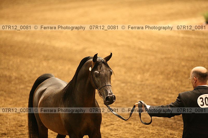 Proof 07r12_0081