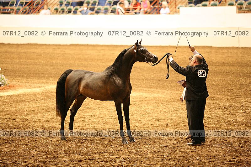 Proof 07r12_0082