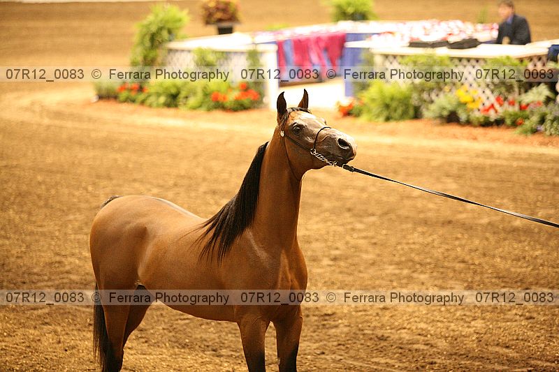 Proof 07r12_0083