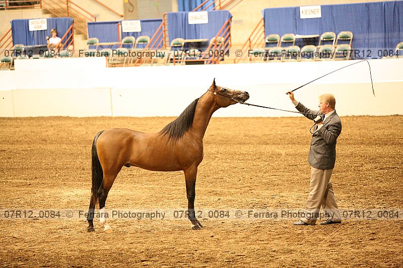 Proof 07r12_0084