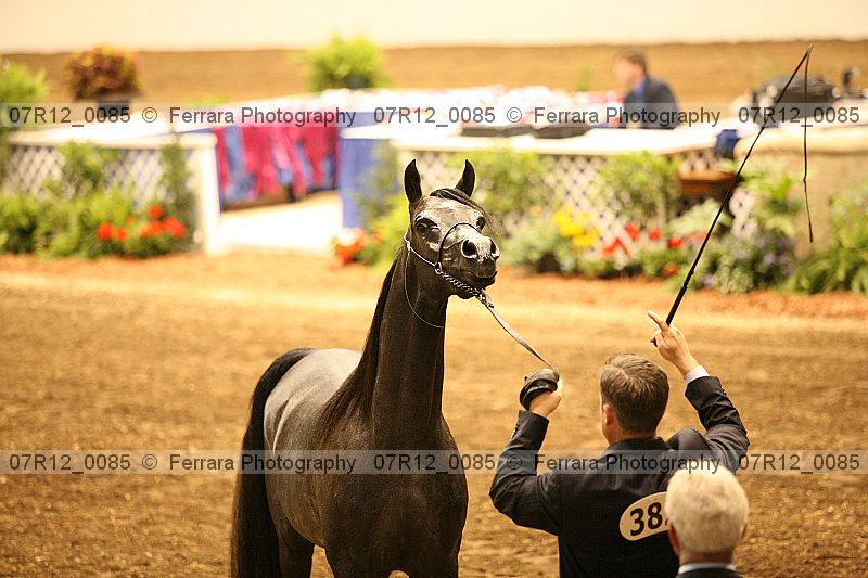 Proof 07r12_0085