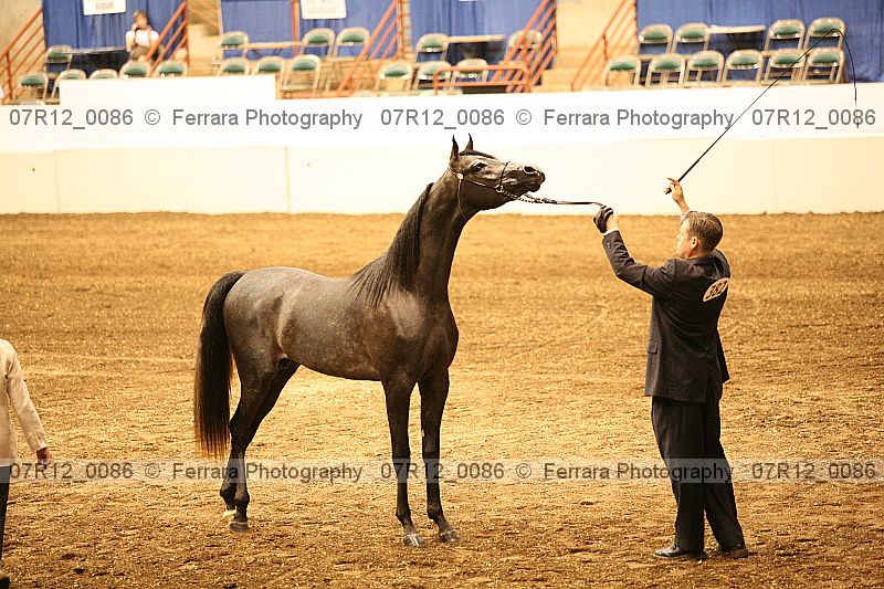 Proof 07r12_0086