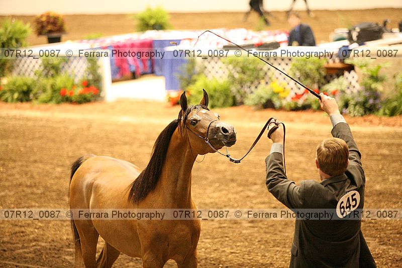 Proof 07r12_0087