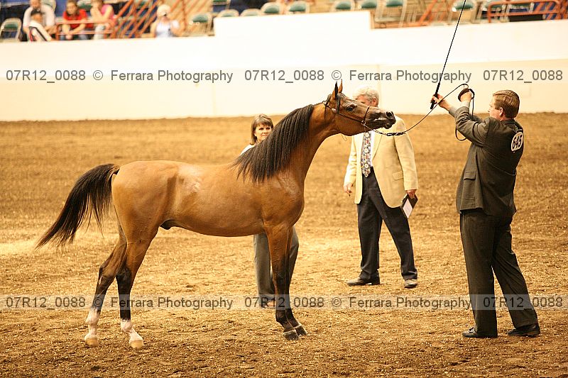 Proof 07r12_0088