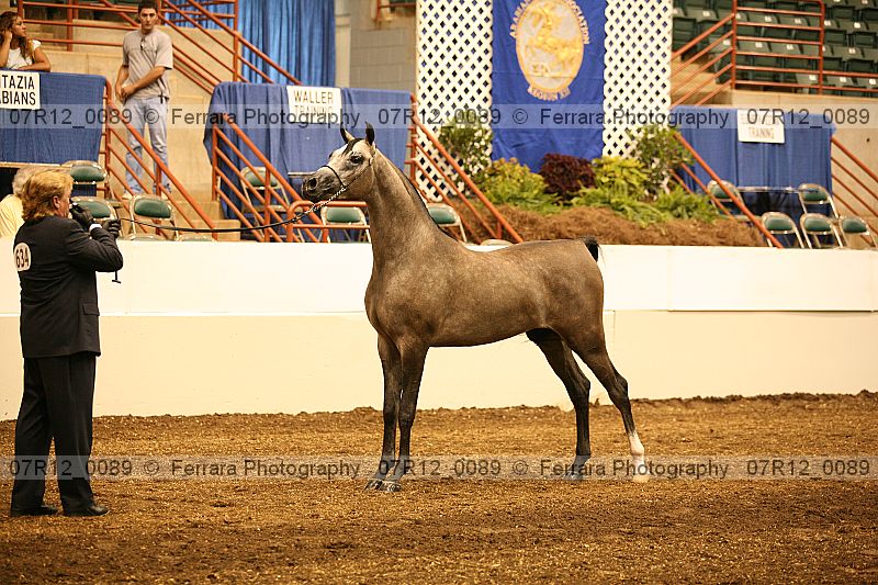 Proof 07r12_0089