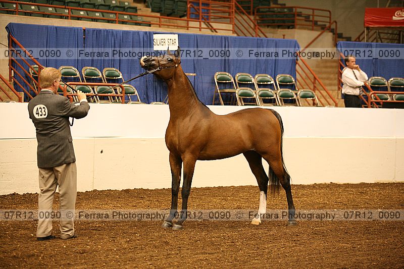 Proof 07r12_0090