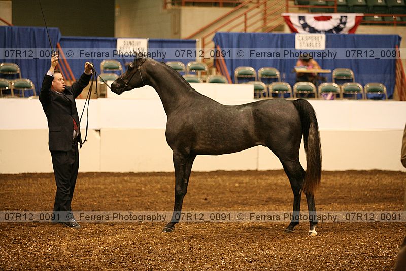 Proof 07r12_0091