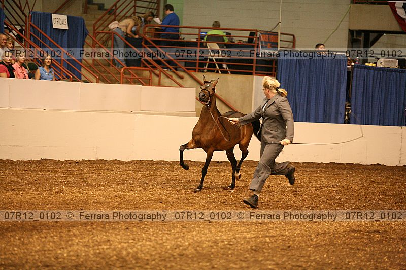 Proof 07r12_0102