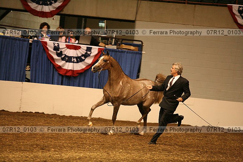 Proof 07r12_0103