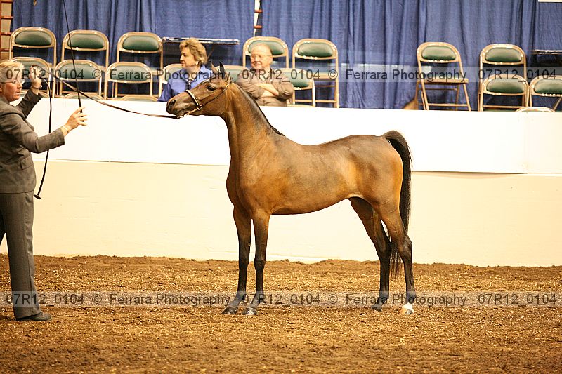 Proof 07r12_0104