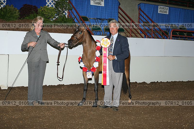 Proof 07r12_0105