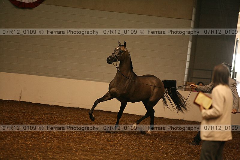 Proof 07r12_0109